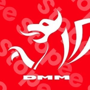 Dmm Verlag