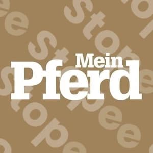 Mein Pferd