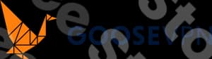 Goose Vpn