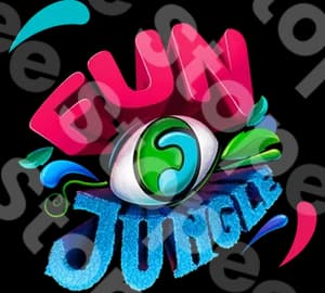 Funplunge