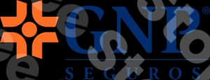 Gnp Seguros