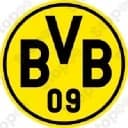 Bvb