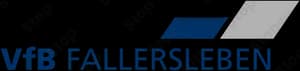VfB Fallersleben