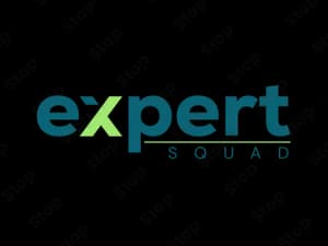 Expert Squad