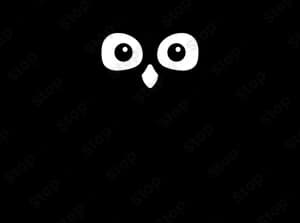 Owlcrate