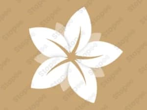 Muses Academy