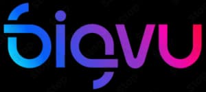 Bigvu