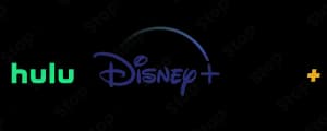 Disney Bundle