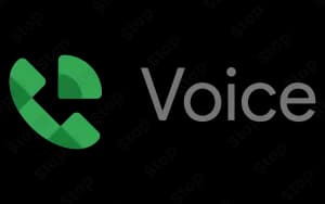 Google Voice