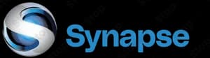 Synapse Group