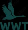 WWT