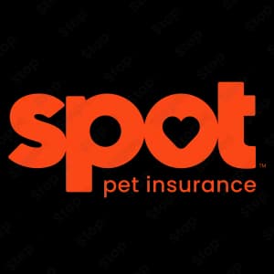 Spot Pet Insurance