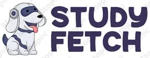 Study Fetch