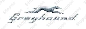Greyhound