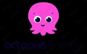 Octopus Energy