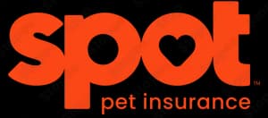 Spot Insurance