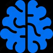 Cerebrum Iq
