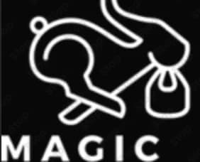 Mage