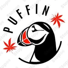 Puffin