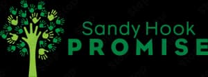 Sandy Hook Promise Foundation