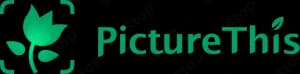 Picturethis