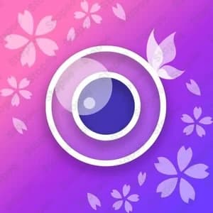 Youcam Perfect