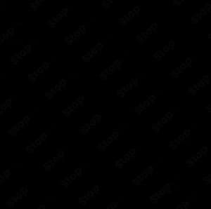 Alma Media