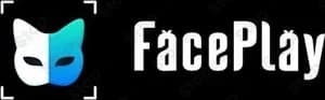 Faceplay