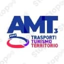 Amt Services
