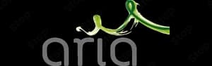 Aria Wimax