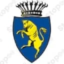 Comune Di Torino