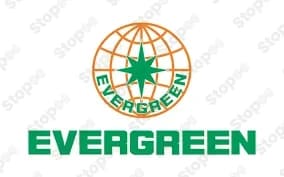 Evergreen