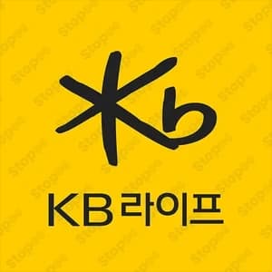 Kb Life Insurance