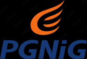 Pgnig