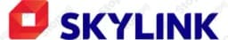 Skylink