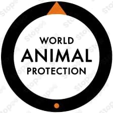 World Animal Protection