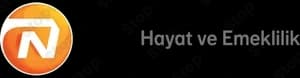 Nn Hayat Emeklilik