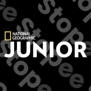 national geographic junior abonnement
