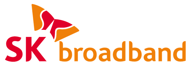 Sk Broadband