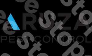 Aruza