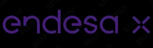 Endesa X