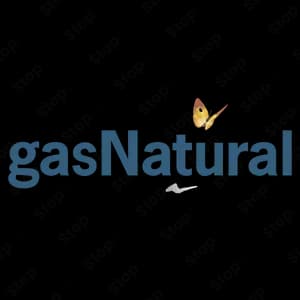 Georgia Natural Gas