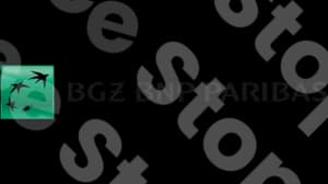 Bgz