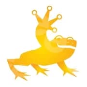 Golden Frog
