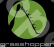 Grasshopper