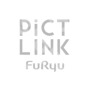 Pictlink